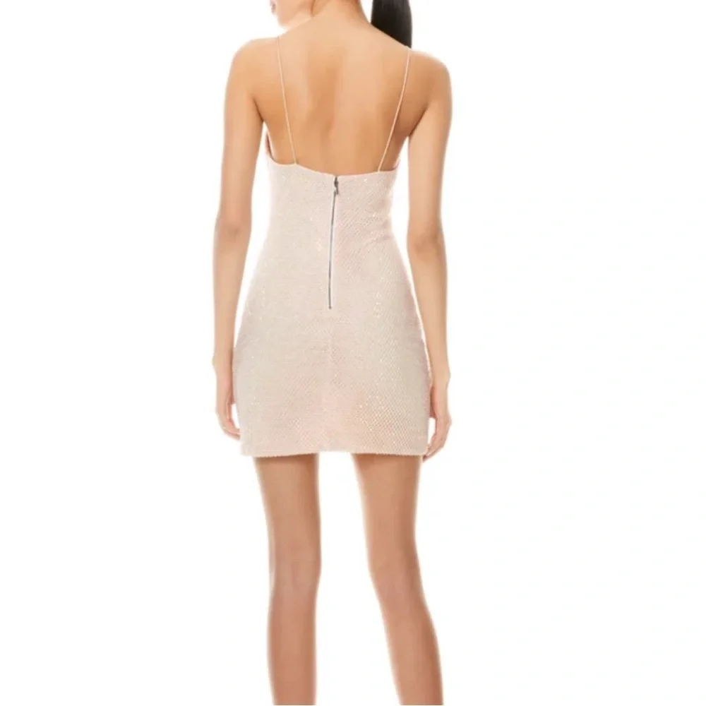 NWT Alice + Olivia Nelle Crystal Embellished Mini dress - Picture 6 of 12